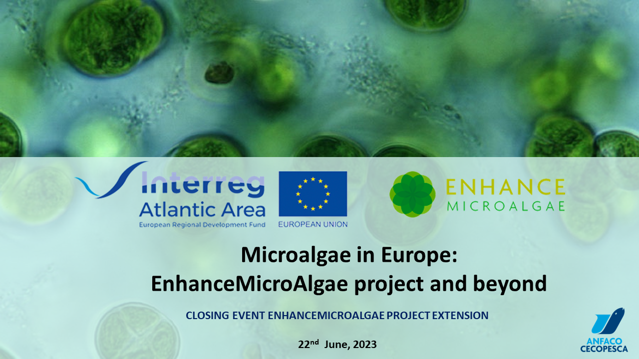 Evento Final: Microalgae in Europe:  EnhanceMicroAlgae project and beyond