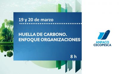 HUELLA DE CARBONO. ENFOQUE ORGANIZACIONES