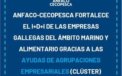 ANFACO-CECOPESCA FORTALECE EL I+D+I DE LAS EMPRESAS GALLEGAS DEL ÁMBITO MARINO Y ALIMENTARIO GRACIAS A LAS AYUDAS DE AGRUPACIONES EMPRESARIAIS (CLÚSTER) INNOVADORAS DEL IGAPE