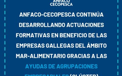 ANFACO-CECOPESCA CONTINÚA DESARROLLANDO ACTUACIONES FORMATIVAS EN BENEFICIO DE LAS EMPRESAS GALLEGAS DEL ÁMBITO MAR-ALIMENTARIO GRACIAS A LAS AYUDAS DE AGRUPACIONES EMPRESARIAIS (CLÚSTER) INNOVADORAS DEL IGAPE