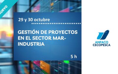 GESTIÓN DE PROYECTOS  EN EL SECTOR MARINDUSTRIA