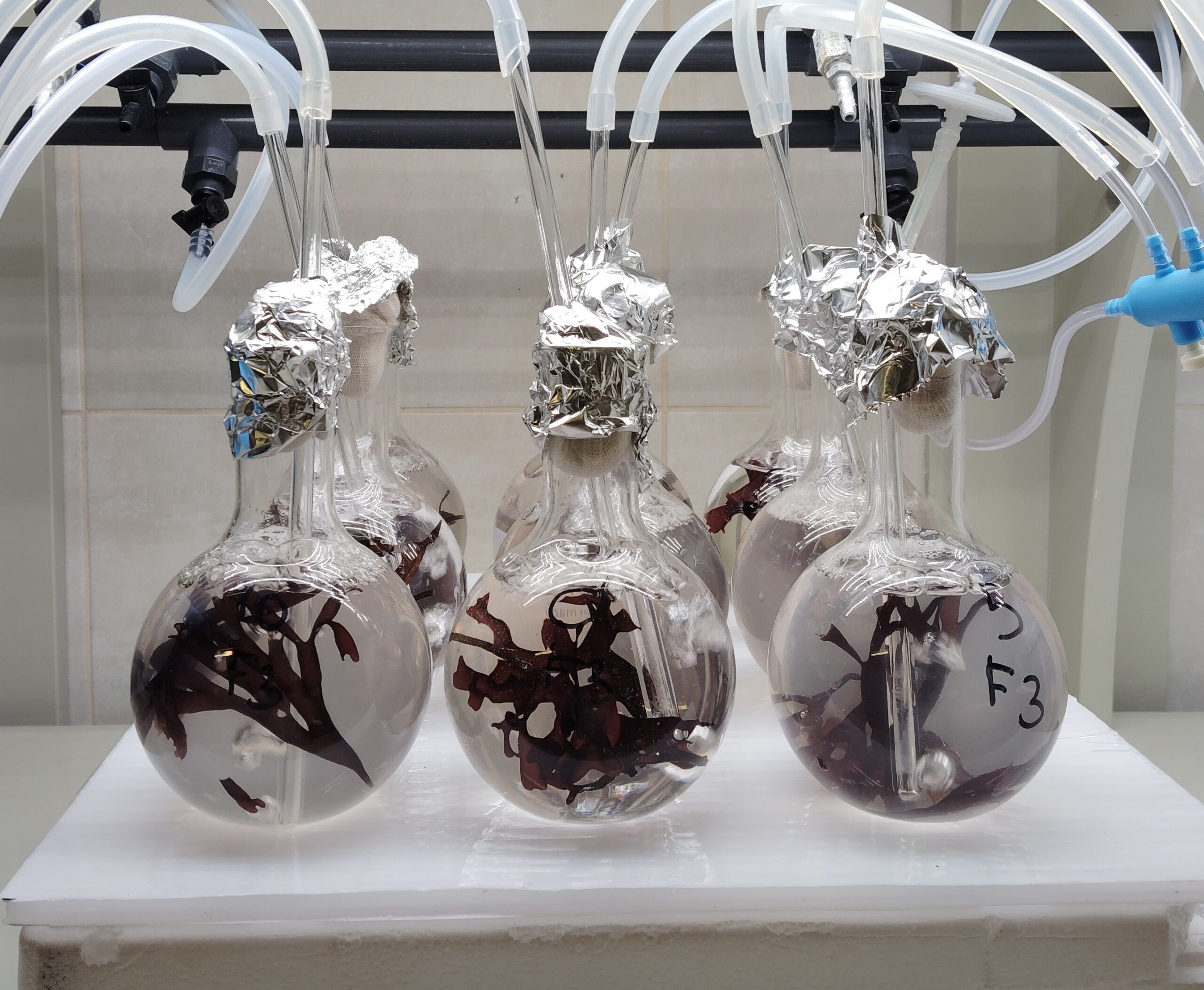 IMG_20251121_145130b