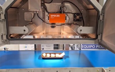 MÁS ALLÁ DE LO VISIBLE: CALIDAD ALIMENTARIA CON VISIÓN HIPERESPECTRAL